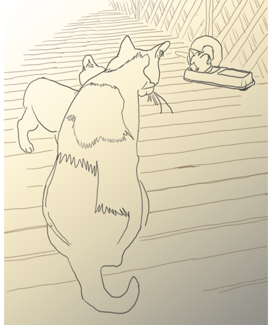 Outside Cats 1